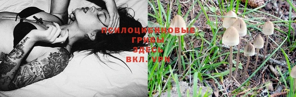 СК Новокубанск